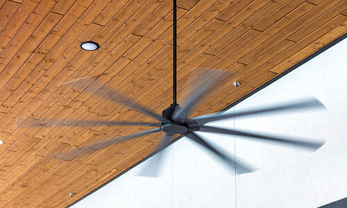 fan